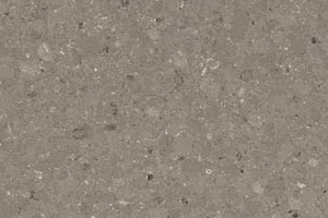 4230 Shitake caesarstone