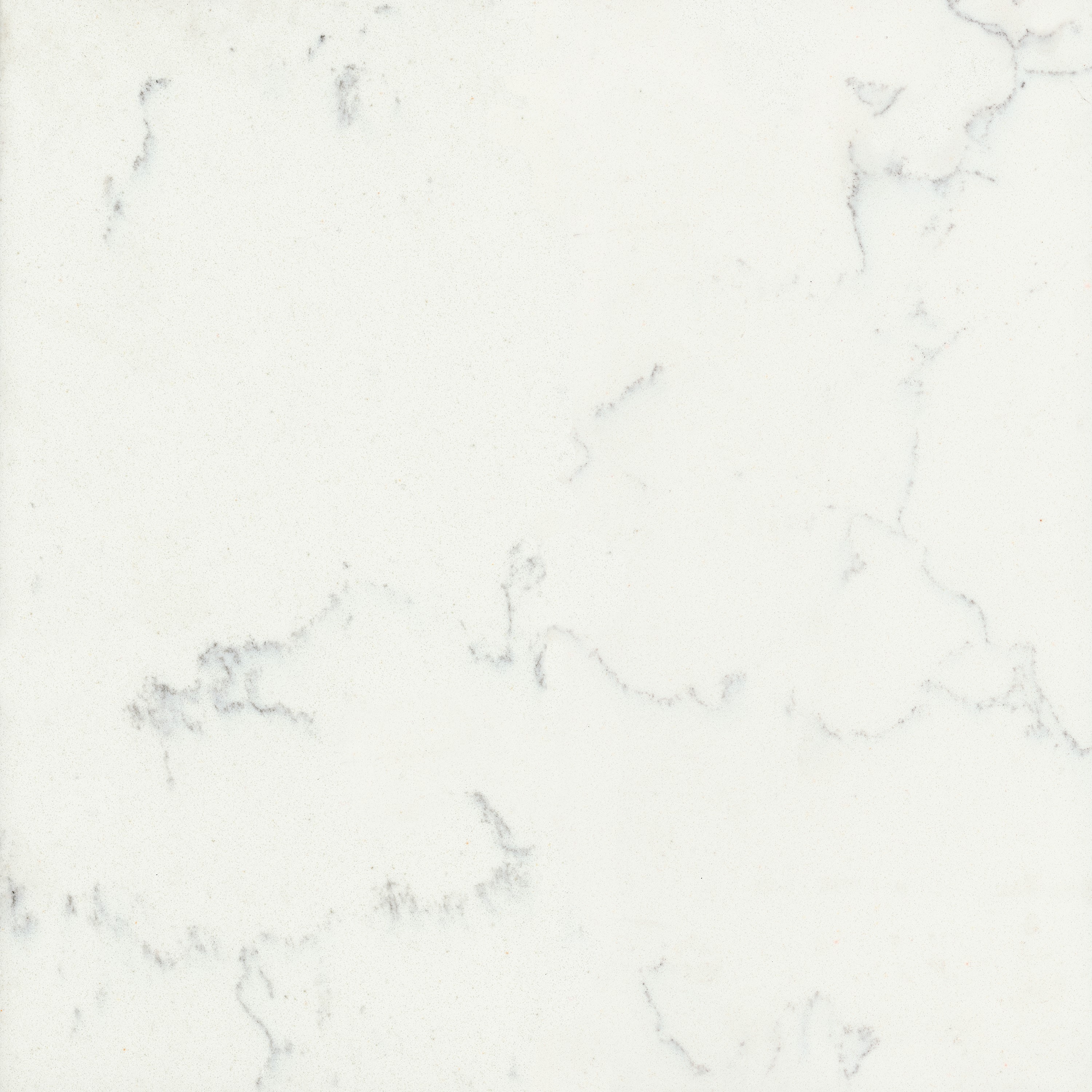 Willow White